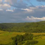 Galicyjska