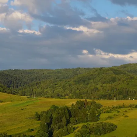 Galicyjska