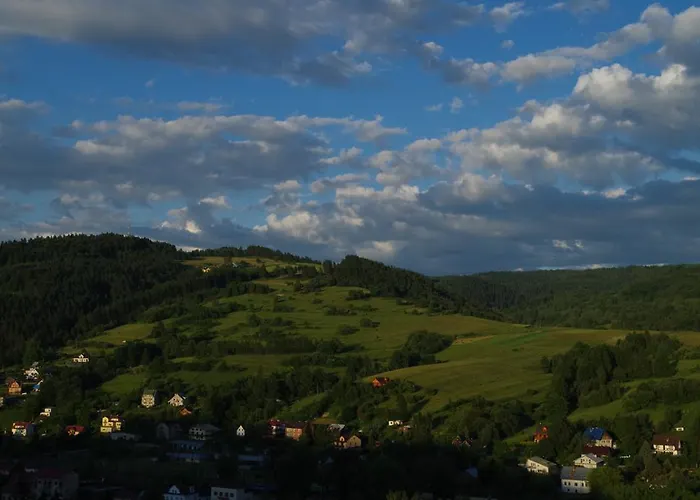 Galicyjska موشينا